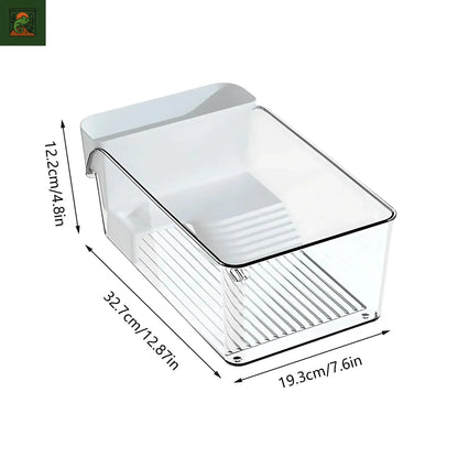 Terrarium pour Tortues & Amphibiens – Mini Réservoir Écologique 