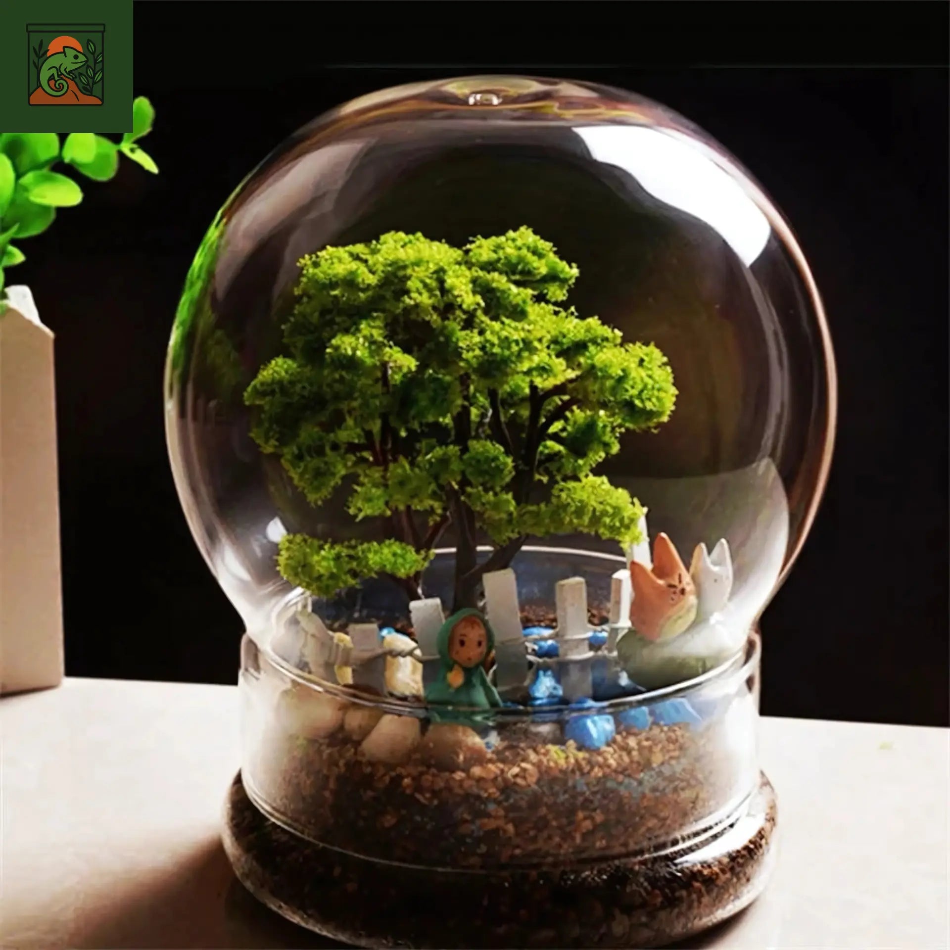 Terrarium sphérique décoratif en verre fendu 