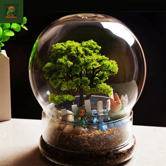 Terrarium sphérique décoratif en verre fendu 