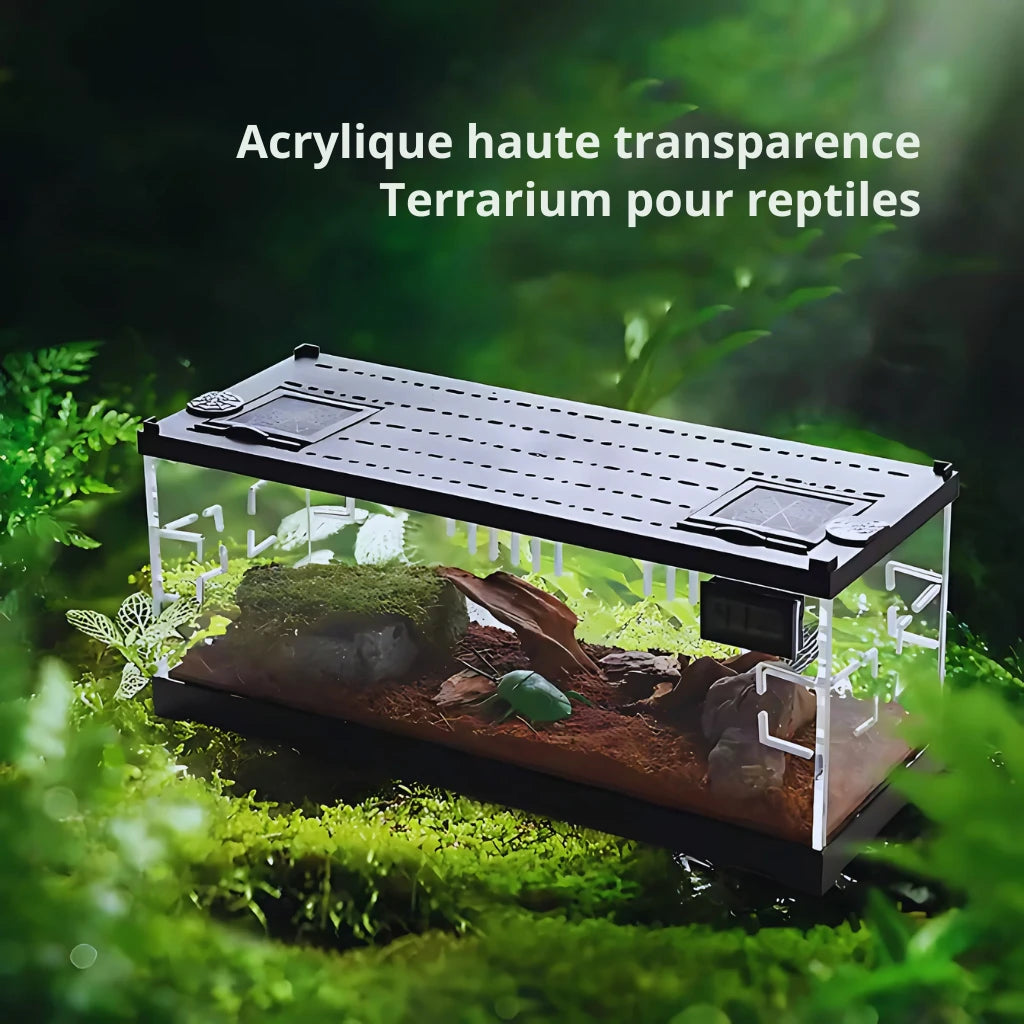Terrariums Chauffants en Acrylique - LED intégré 