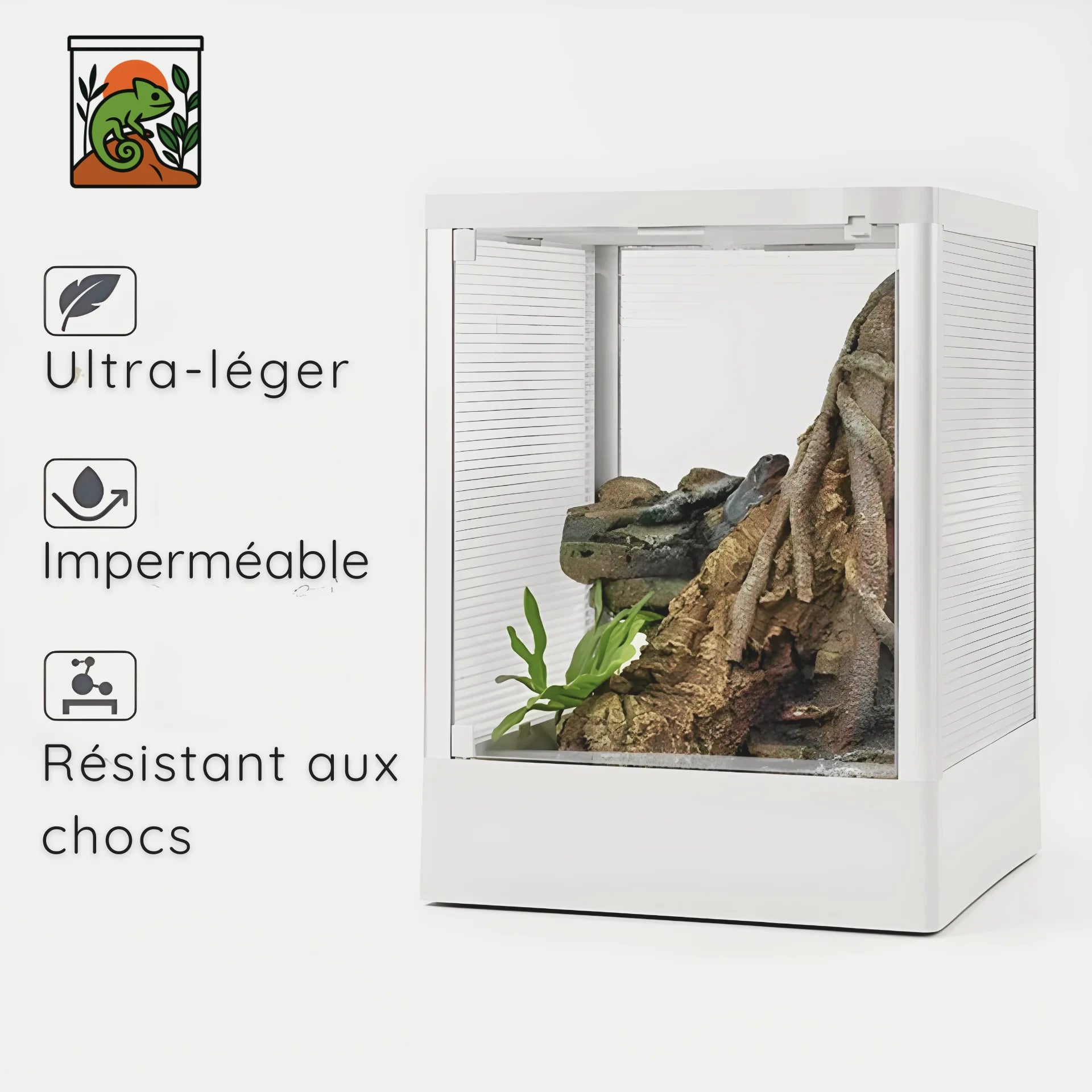 Terrariums en pvc et verre 