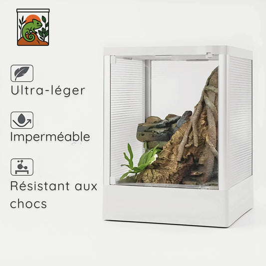 Terrariums en pvc et verre 