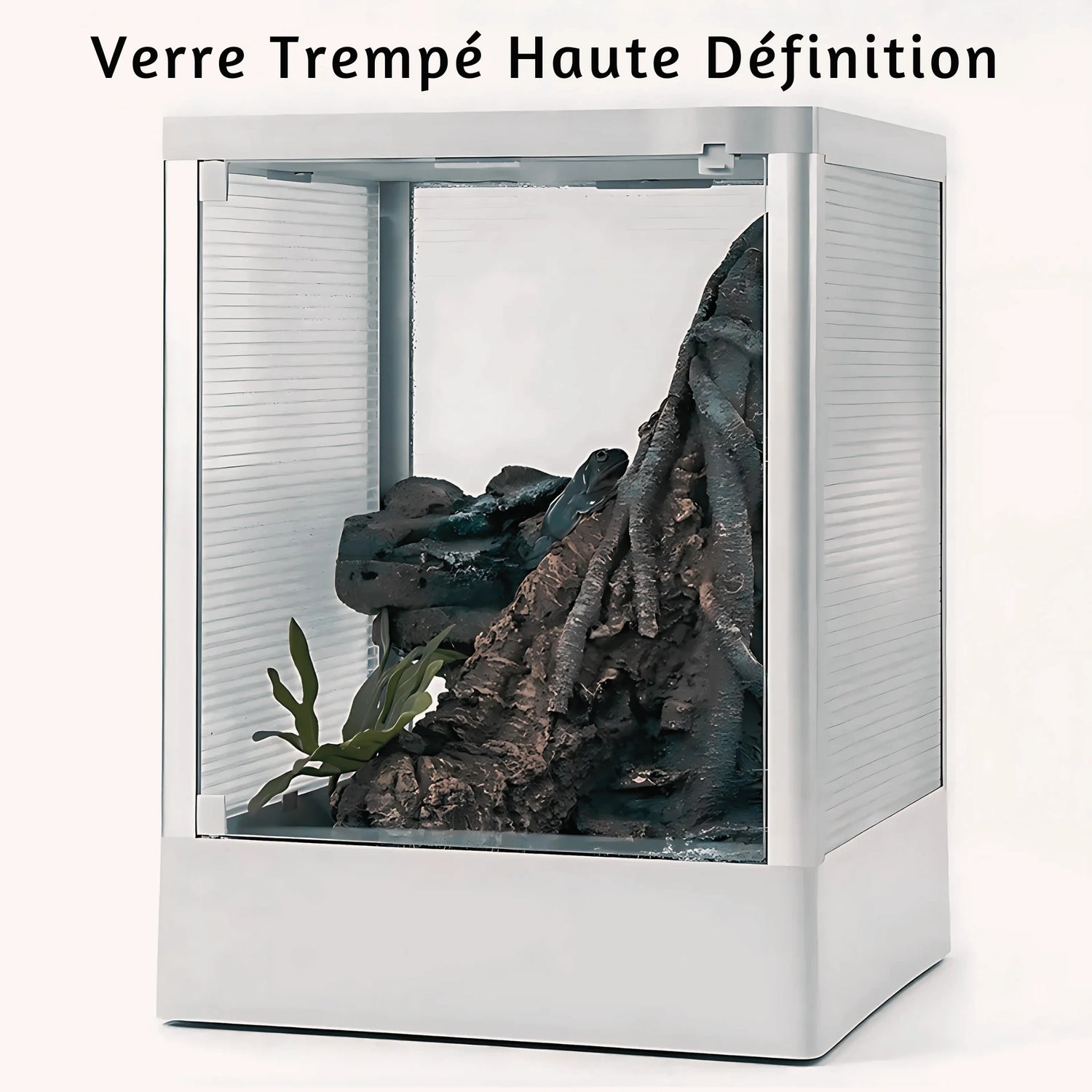 Terrariums en pvc et verre 
