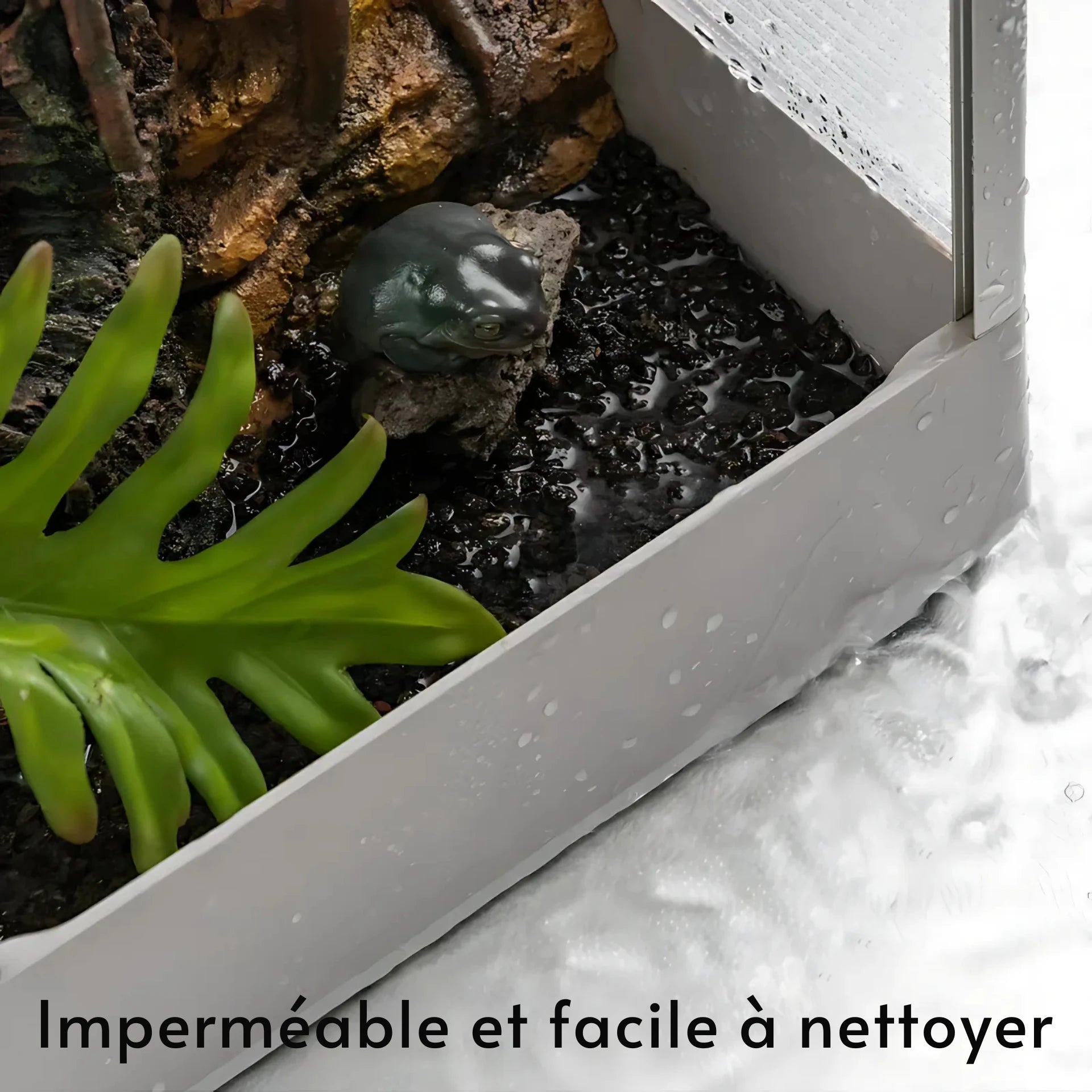 Terrariums en pvc et verre 