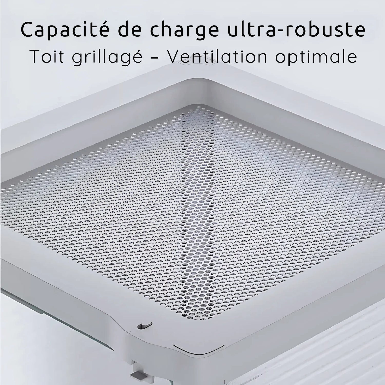 Terrariums en pvc et verre 