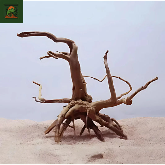 Tronc d'Arbre Naturel en Bois pour Terrarium 