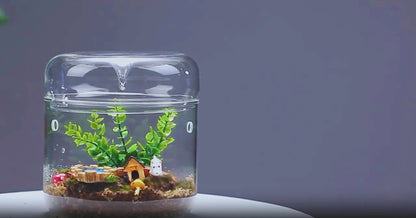 Terrarium Plante Végétal en Verre – Jardin Humide