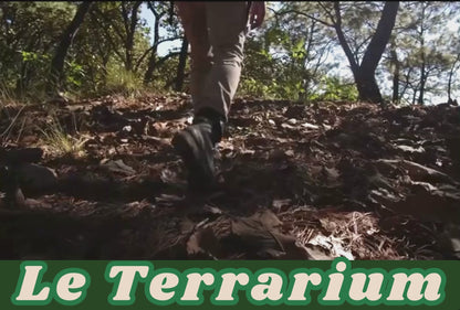 Cachette en Roche pour Terrarium – Abri Suspendu pour Réptiles