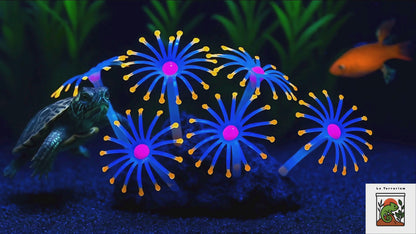 Plante Corail Fluorescente pour Terrarium – Décoration Lumineuse