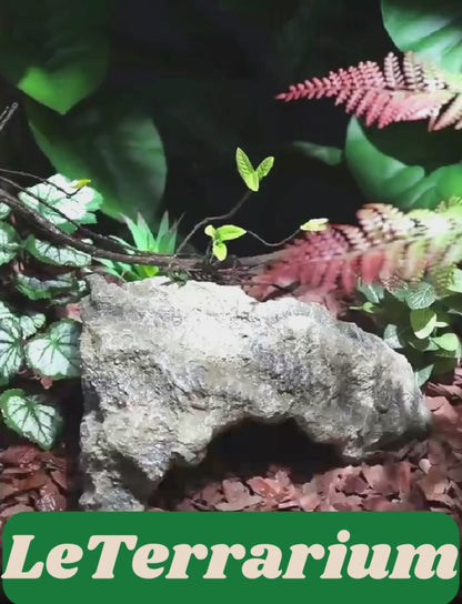 Cachette spéciale pour Terrarium – Grotte en Résine Réaliste