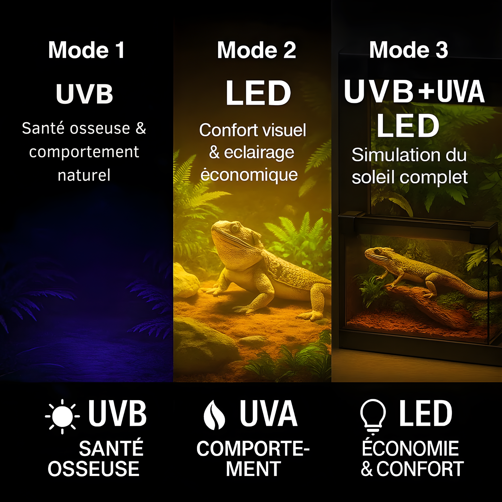 Lampe UVB 10.0 à Spectre Complet pour Terrarium 
