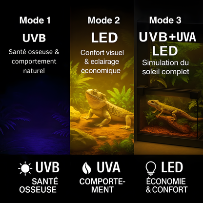 Lampe UVB 10.0 à Spectre Complet pour Terrarium 